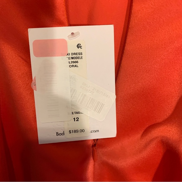 NWT Badgley Mischka Nikki Sleeveless Fit & Flare Dress size 12 - Picture 12 of 14